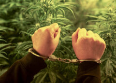 Σύλληψη για ναρκωτικές ουσίες