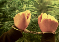 Σύλληψη ημεδαπού για ναρκωτικές ουσίες
