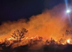 Αποζημίωση 100% των ζημιών ζητά το ΚΚΕ για την καταστροφική πυρκαγιά