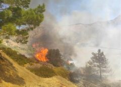 Υποβολή Αίτησης Αποζημίωσης στους πληγέντες της φωτιάς στη Σιδηρούντα