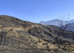 Η ΣΤΑΧΤΗ ΤΗΣ ΑΜΑΝΗΣ ΛΙΠΑΣΜΑ ΓΙΑ ΤΗΝ ΟΙΚΟΝΟΜΙΑ ΟΛΗΣ ΤΗΣ ΧΙΟΥ