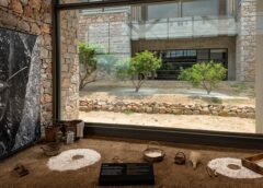 «Κεντώντας τον σχίνο» | Επίδειξη μαστιχοκαλλιέργειας