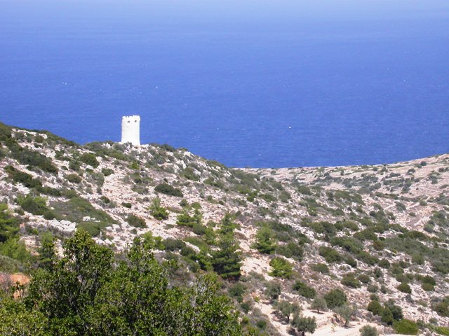 vigla