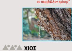 Στη Χίο το 11ο Συμπόσιο Κινητών Μονάδων Ψυχικής Υγείας